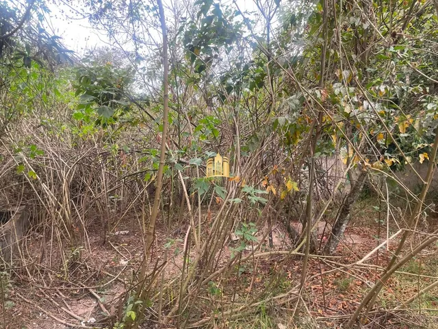 Imagem 7: TERRENO A VENDA BAIRRO DUMAVILLE EM ESMERALDAS/MG