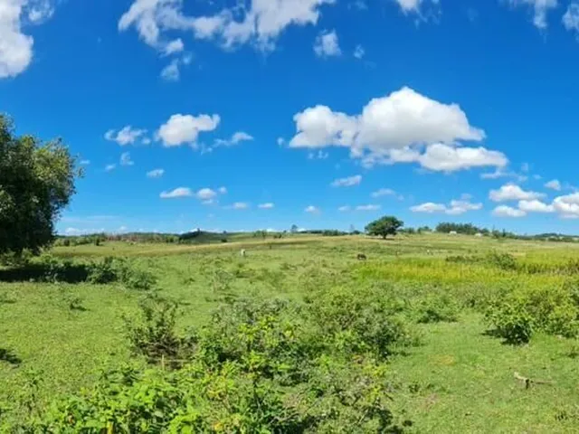 Imagem 15: Fazenda à venda no bairro Centro (São Vicente) - Araruama/RJ