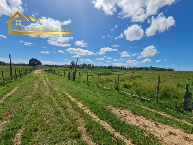 Imagem 8: Fazenda à venda no bairro Centro (São Vicente) - Araruama/RJ