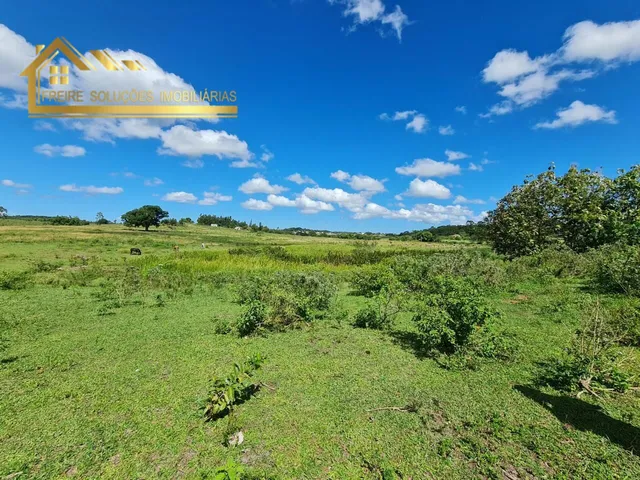 Imagem 13: Fazenda à venda no bairro Centro (São Vicente) - Araruama/RJ