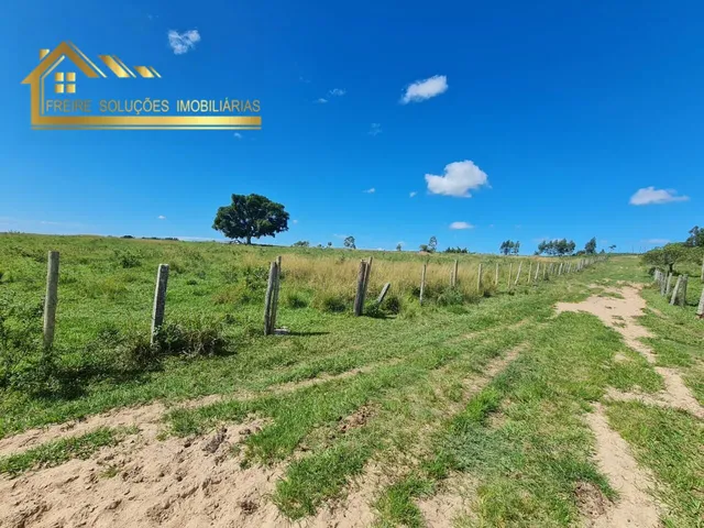 Imagem 7: Fazenda à venda no bairro Centro (São Vicente) - Araruama/RJ