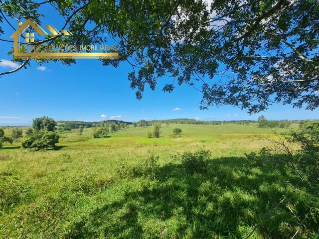 Imagem 3: Fazenda à venda no bairro Centro (São Vicente) - Araruama/RJ