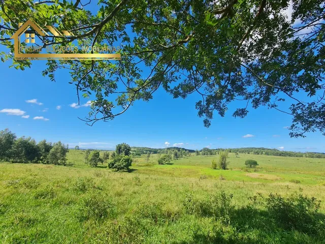Imagem 9: Fazenda à venda no bairro Centro (São Vicente) - Araruama/RJ