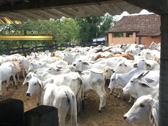 Imagem 2: Fazenda à venda no bairro Centro (São Vicente) - Araruama/RJ