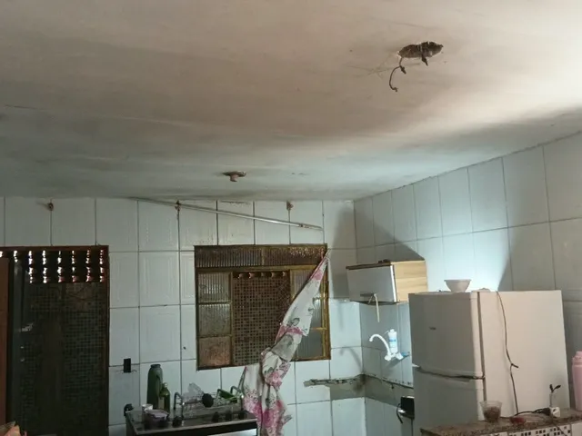 Imagem: Casa em Vale das Acácias, Ribeirão das