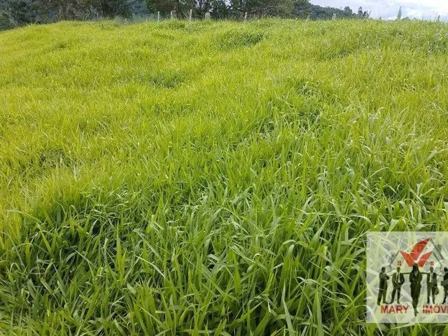Imagem 3: Chácara à venda no bairro Centro - Poços de Caldas/MG