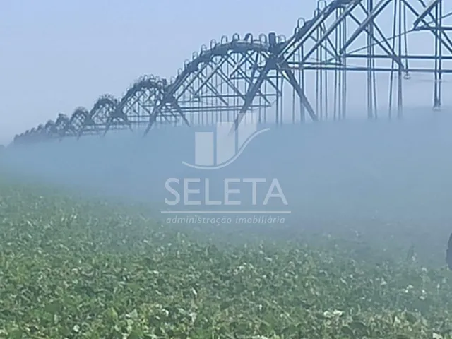Imagem 6: Fazenda à venda, Área Rural SAO DESIDERIO - BA - 2.264 Hectares - 80% mecanizada e 20