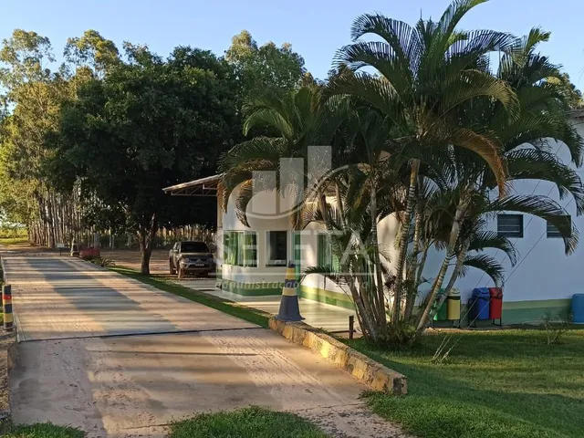 Imagem 13: Fazenda à venda, Área Rural SAO DESIDERIO - BA - 2.264 Hectares - 80% mecanizada e 20