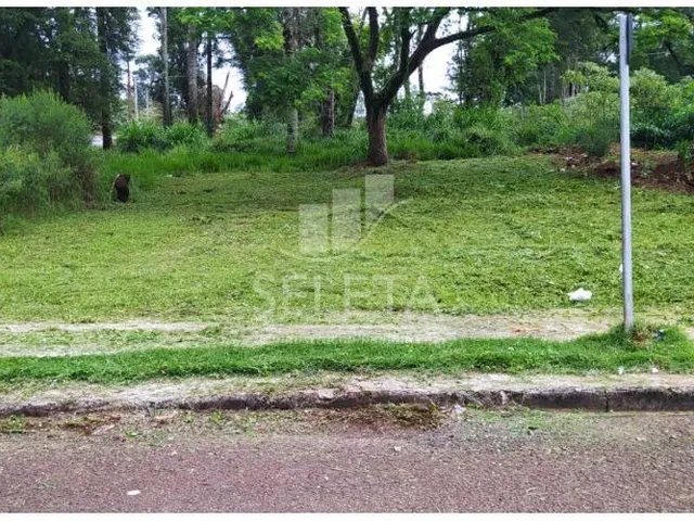 Imagem: Oportunidade Terreno de 250 m² à venda