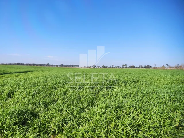 Imagem: Fazenda À Venda em Iguatemi/Ms 625 Hectares
