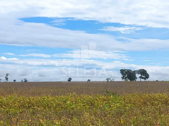 Imagem 2: Fazenda À Venda em Iguatemi/Ms 625 Hectares, Agricultura e Pecuária