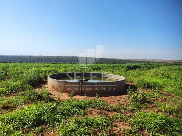 Imagem 15: Fazenda À Venda em Iguatemi/Ms 625 Hectares, Agricultura e Pecuária