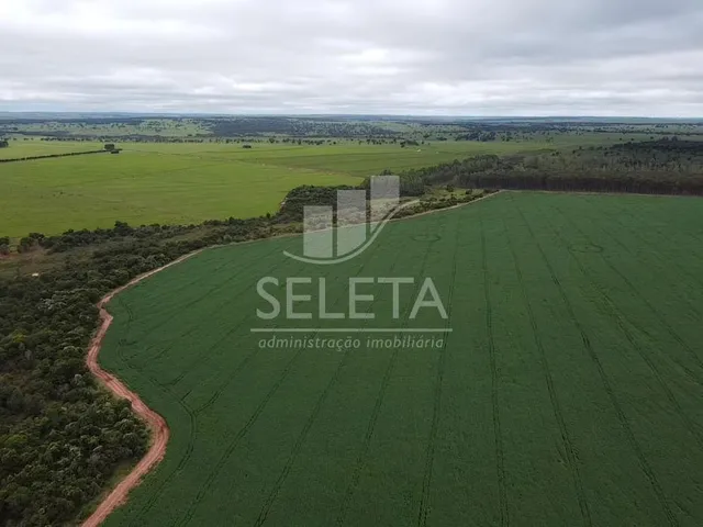 Imagem: Fazenda Cascavel 1 - São 1.153 Hectares