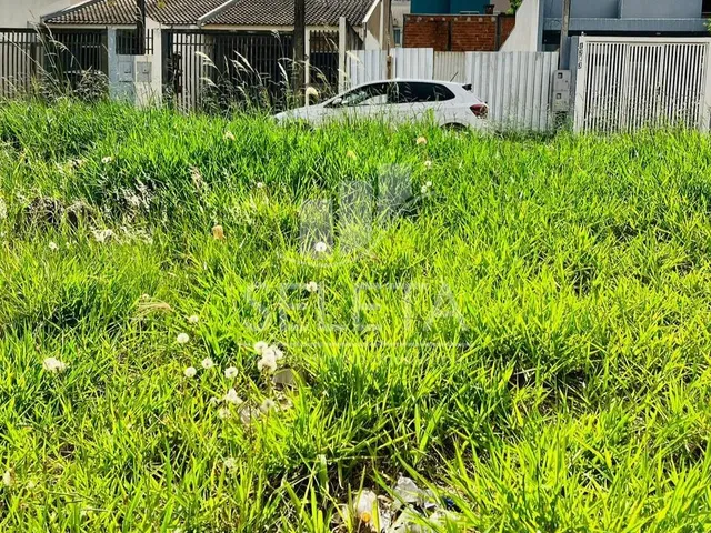 Imagem 2: Terreno À Venda, no Bairro Florais do Paraná, Morumbi, Cascavel - Pr 250,00M , 10X25 - Oportunidade