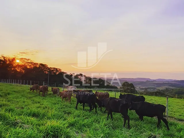 Imagem: Sitio com 2,25 alqueires, situado a 30 Km