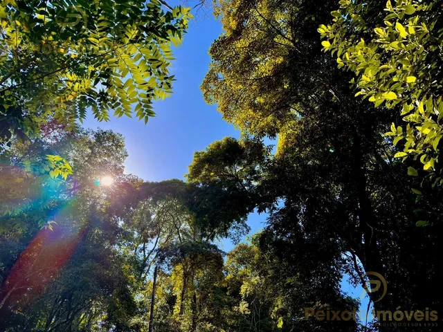 Imagem 8: Terreno de 12.000M² À Venda em Buenos Aires - Guarapari/Es