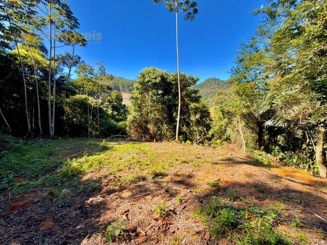 Imagem 5: Terreno de 12.000M² À Venda em Buenos Aires - Guarapari/Es