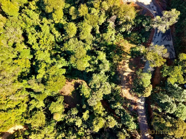Imagem 3: Terreno de 12.000M² À Venda em Buenos Aires - Guarapari/Es