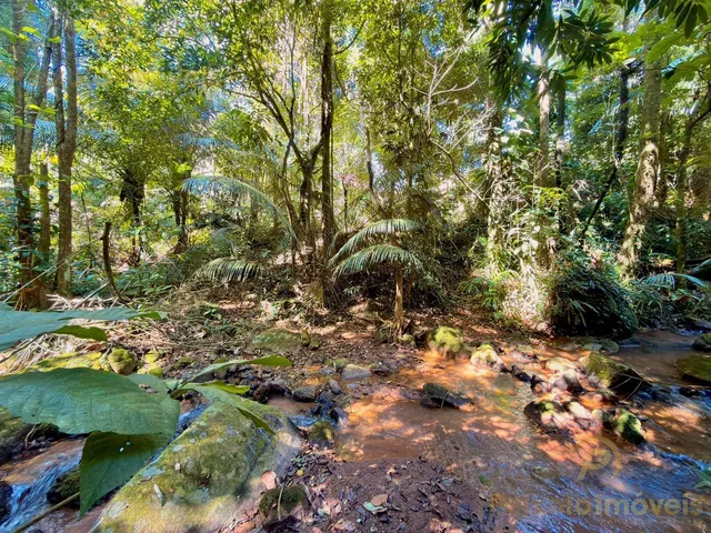 Imagem 4: Terreno de 12.000M² À Venda em Buenos Aires - Guarapari/Es