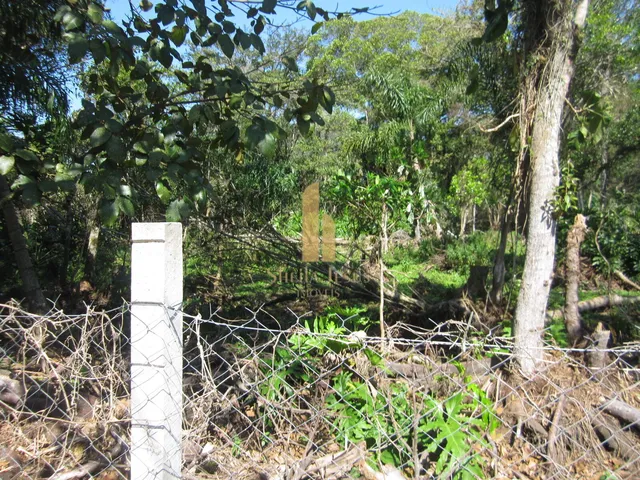 Imagem 12: Terreno Plano em Excelente Localização Pronto para Construir em Florianópolis/Sc!!