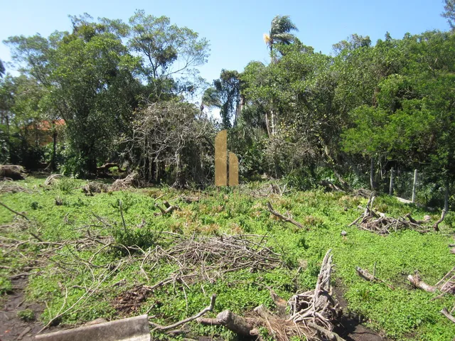 Imagem 13: Terreno Plano em Excelente Localização Pronto para Construir em Florianópolis/Sc!!