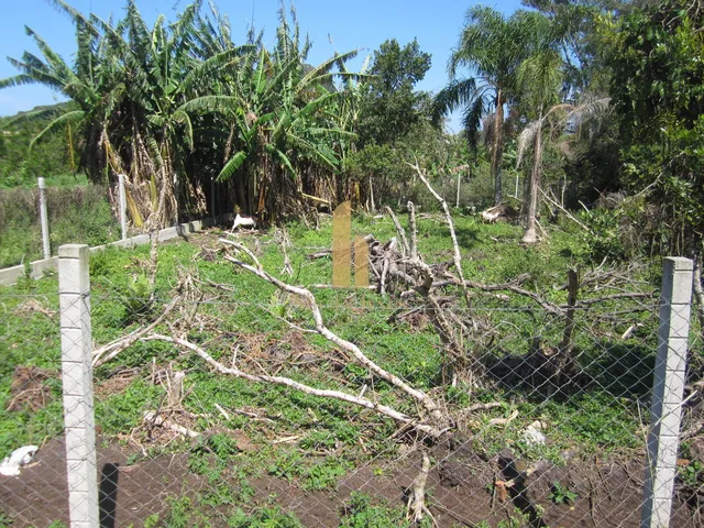 Imagem 10: Terreno Plano em Excelente Localização Pronto para Construir em Florianópolis/Sc!!