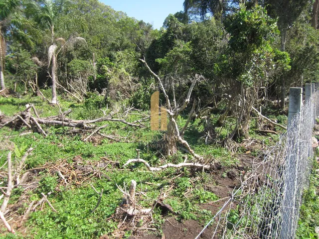 Imagem 9: Terreno Plano em Excelente Localização Pronto para Construir em Florianópolis/Sc!!