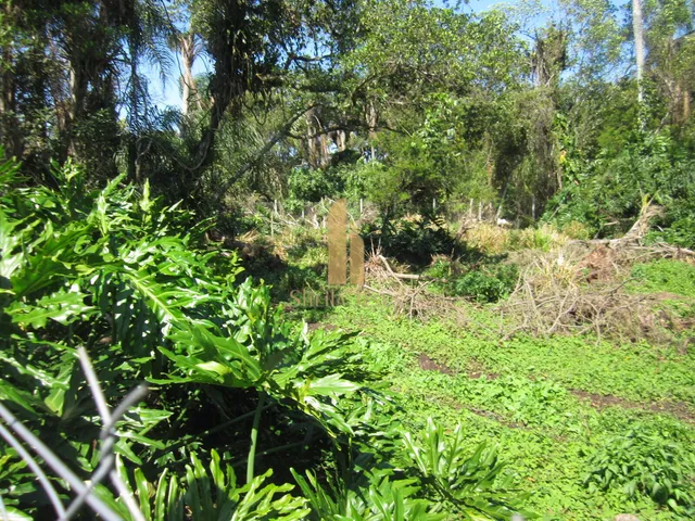 Imagem 6: Terreno Plano em Excelente Localização Pronto para Construir em Florianópolis/Sc!!