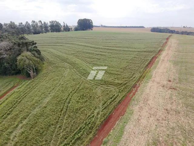 Imagem: AREA RURAL DE 10 ALQUEIRES EM CASCAVEL