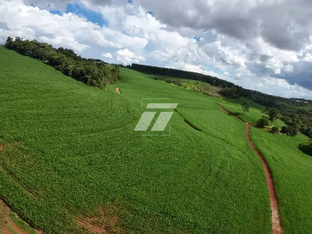 Imagem 2: Sítio À Venda - Cascavel