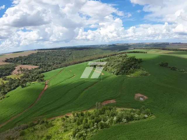 Imagem 10: Sítio À Venda - Cascavel