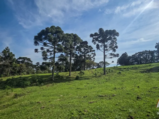 Imagem: CHACARA RURAL em SÃO JOSÉ DOS PINHAIS