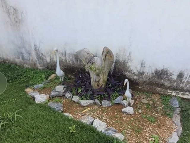 Imagem 4: Casa a Venda em Lagoa Santa MG