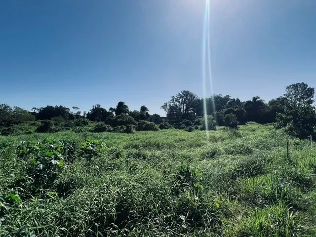 Imagem: Terrenos À Venda em Itacolomi, Balneário