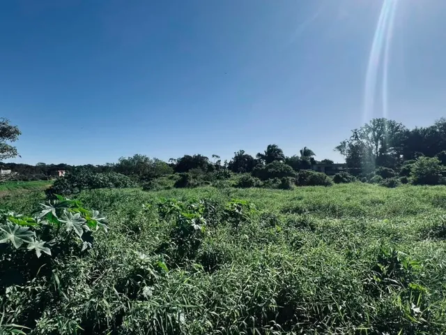 Imagem 5: Terrenos À Venda em Itacolomi, Balneário Piçarras Sc - 624,03M²
