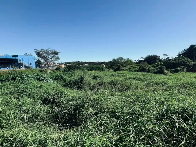 Imagem 2: Terrenos À Venda em Itacolomi, Balneário Piçarras Sc - 624,03M²