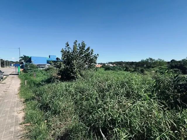 Imagem 6: Terrenos À Venda em Itacolomi, Balneário Piçarras Sc - 624,03M²