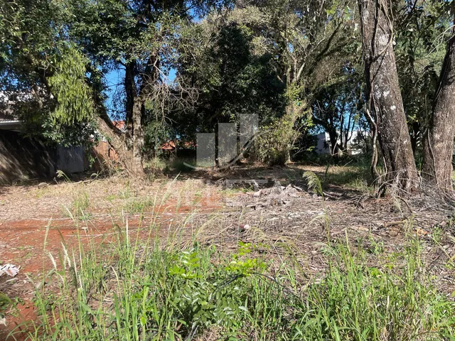 Imagem: Terreno Plano e Arborizado à venda, Recanto
