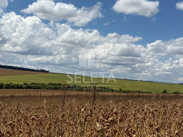 Imagem: Área Rural à venda com 22 Alqueires na