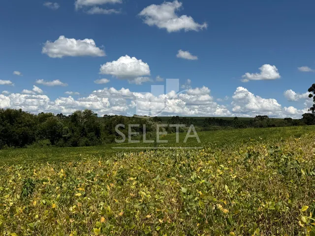 Imagem 10: Área Rural À Venda com 22 Alqueires na Est. Rio da Paz, Cascavel - Pr