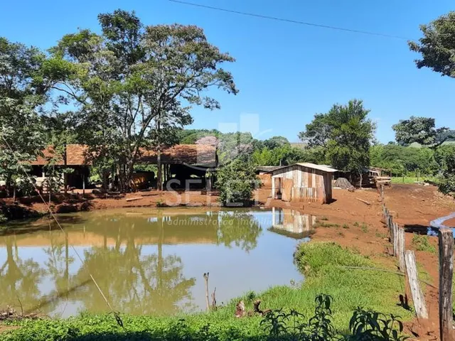 Imagem: Sítio à venda no Distrito de Iguiporã