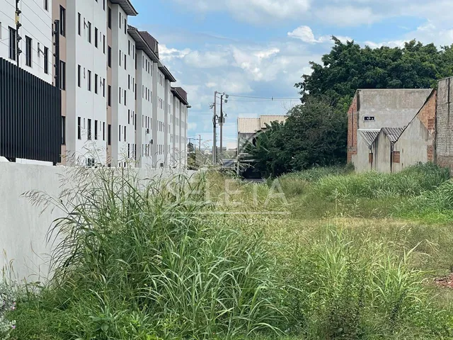 Imagem 2: Terreno À Venda, Residencial Roma, Cascavel - Pr