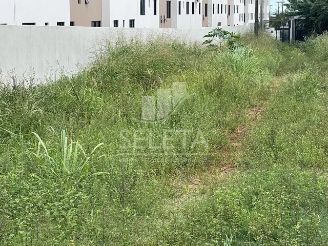 Imagem 8: Terreno À Venda, Residencial Roma, Cascavel - Pr