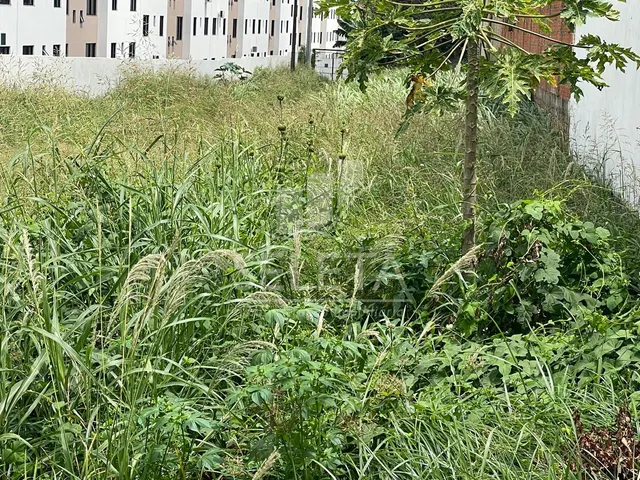 Imagem 9: Terreno À Venda, Residencial Roma, Cascavel - Pr