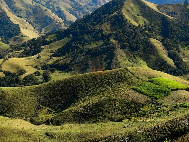 Imagem: Terreno À Venda em Barrerinhas, Delfim