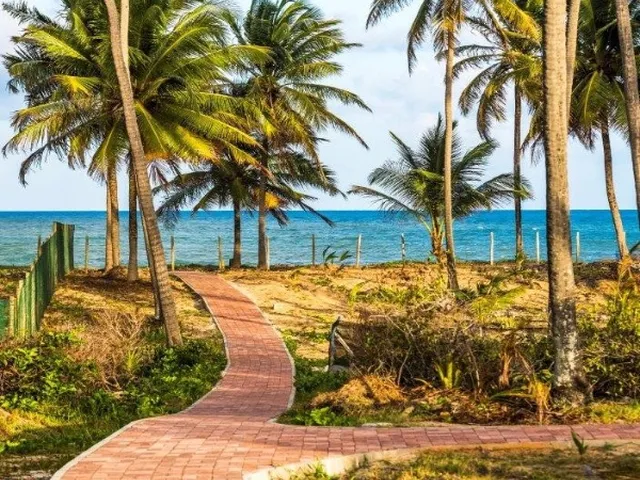 Imagem 5: PRAIA DO FORTE - CONDOMÍNIO PISCINAS NATURAIS: Lotes nos condomínios: Tartarugas e