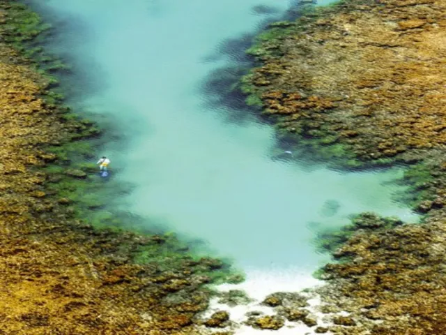 Imagem 6: PRAIA DO FORTE - CONDOMÍNIO PISCINAS NATURAIS: Lotes nos condomínios: Tartarugas e