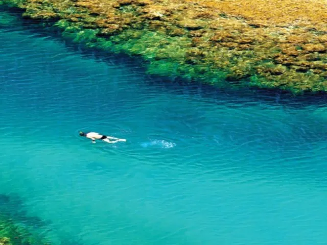 Imagem 7: PRAIA DO FORTE - CONDOMÍNIO PISCINAS NATURAIS: Lotes nos condomínios: Tartarugas e