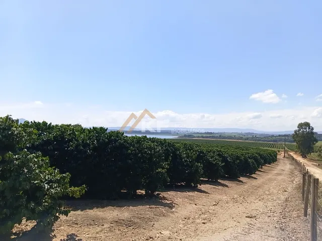 Imagem 2: Fazenda de Lavoura de Café em Carmo do Rio Claro/MG