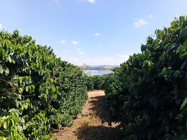 Imagem 8: Fazenda de Lavoura de Café em Carmo do Rio Claro/MG